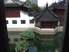 -豫园湖心亭茶楼