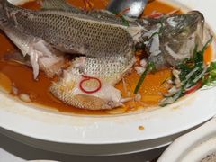 -眉州东坡·熊猫主题餐厅(枫蓝店)
