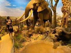 -陕西自然博物馆