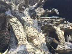 -永泰中国云顶