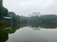 -张鸟园农家乐(张鸟园店)