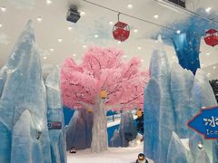 -湘江欢乐城欢乐雪域