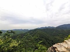 -中国茶叶博物馆(双峰馆区)