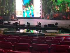 -广州长隆国际大马戏