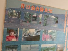 -金台阶鱼馆(于桥水库店)