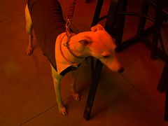 -The Drinkery (瑞金店)