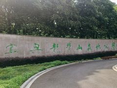 -宜兴龙背山森林公园