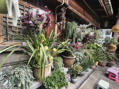 -龙姐私房菜(和顺古镇店)