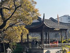 -芥子园
