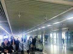 -青岛胶东国际机场