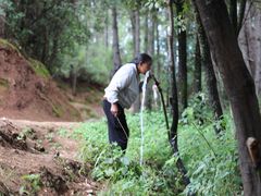 -蘑统田下·野生菌火锅