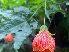 -中国观音故里广德景区