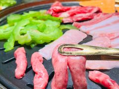 -杨小佳·齐齐哈尔烤肉·烤串(广州店)