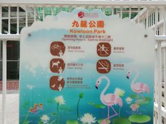 -九龙公园