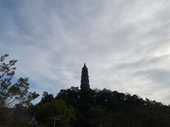 -顺峰山公园