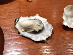 -比尔森韩式烤肉自助(绿园店)