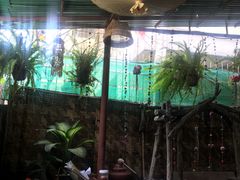 -Tikky Cafe
