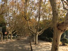 -江苏科技大学(梦溪校区)