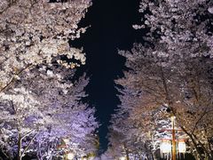 -长田漾湿地公园