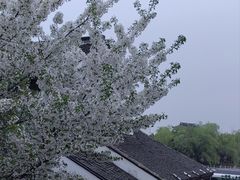 -山塘街