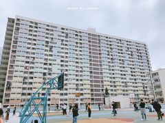 -彩虹村