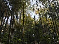 -天目湖涵田半山温泉