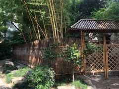 -静安公园(静安寺街道)