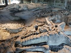 -自贡恐龙博物馆