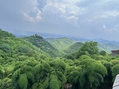 -莫干山风景区