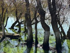 -捞渔河湿地公园