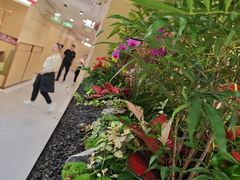 -海底捞火锅(赛格国际购物中心店)