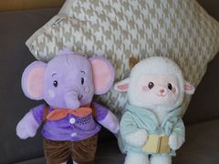 -青岛富力艾美酒店