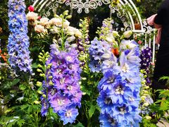 -人民公园(罗湖区)