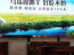 -313羊庄·羊肉火锅烧烤(李村店)