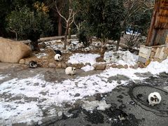 -崂山九水游览区