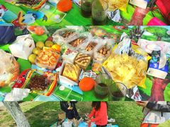 -重庆中央公园(渝北区)