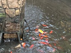 -Golden Lily河内巴黎法越料理餐厅(建国西路店)