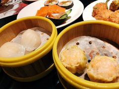 -壹号港湾