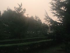 -洨河生态公园