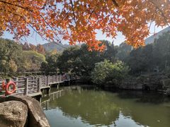 -白马涧龙池景区