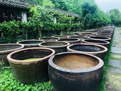 -鄞州雪菜博物馆