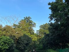 -大屏嶂森林公园