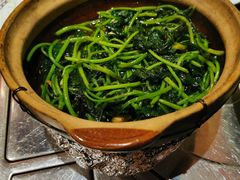 -鹅城粤菜馆(白云山路店)