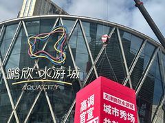 -鹏欣水游城