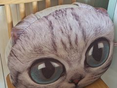 -海边的猫和咖啡馆