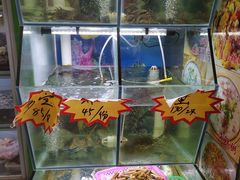 水产区-聪辉同安老美食饭店(大元路店)