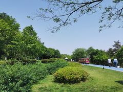 -宜兴龙背山森林公园