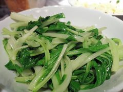 -壹盏灯(惠农店)