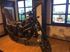 -信不信由你博物馆