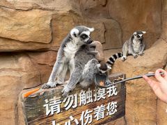 -北京野生动物园